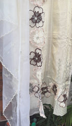 Mehtab Champagne Shimmer Suit Set