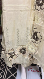 Mehtab Champagne Shimmer Suit Set
